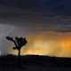 Tormenta en el desierto de Mojave. Wikimedia Commons
